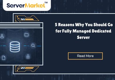 5 Reasons Why You Should Go for Fully Managed Dedicated Server